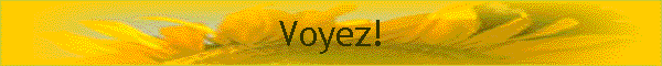 Voyez!